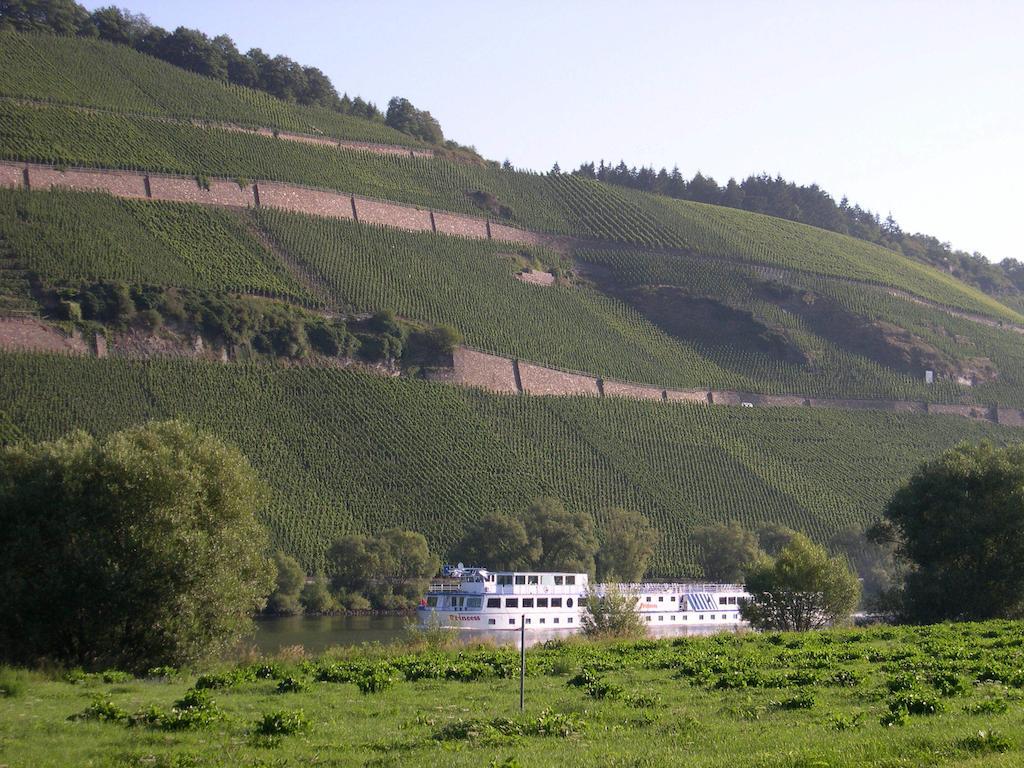 Juffer Flair Restaurant Gaestehaus Brauneberg Exterior photo